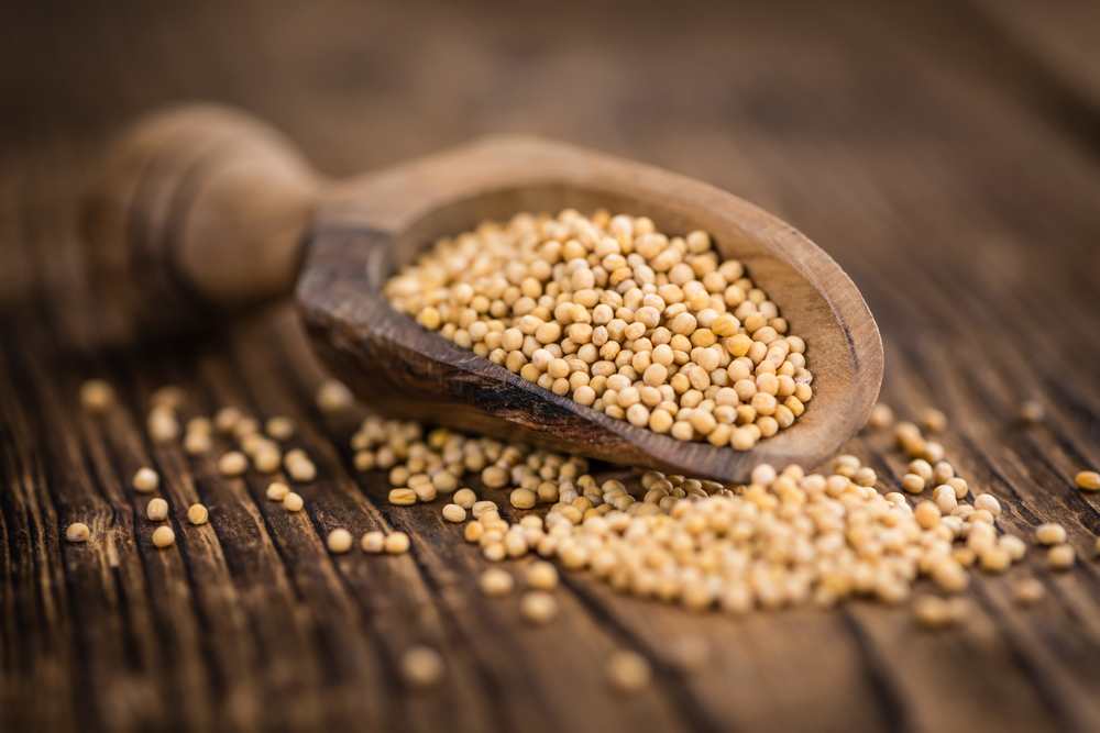 Mustard Seed Shortage